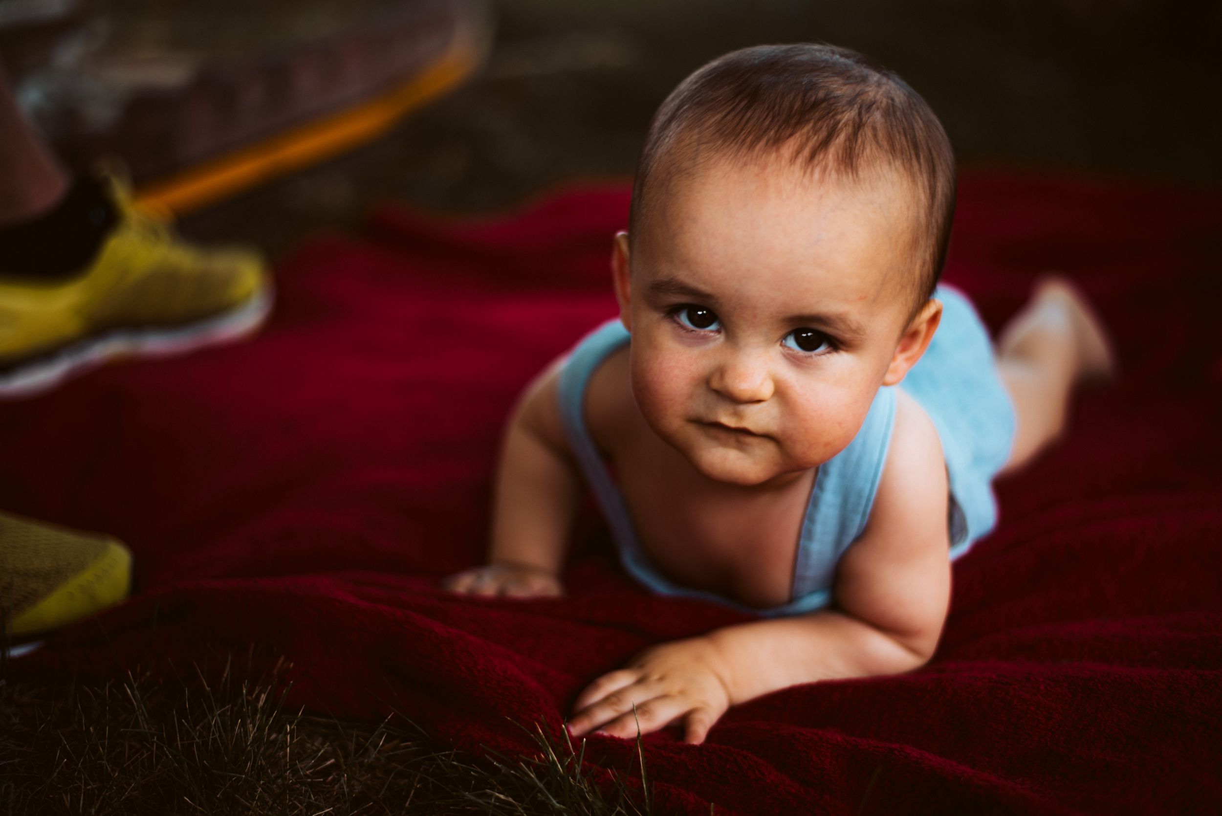Milestone photography 9 months, Missoula Montana