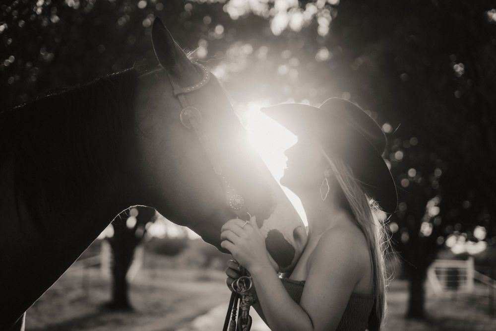 Black and white silhouette of a horse and rider against bright sunlight filtering through trees.