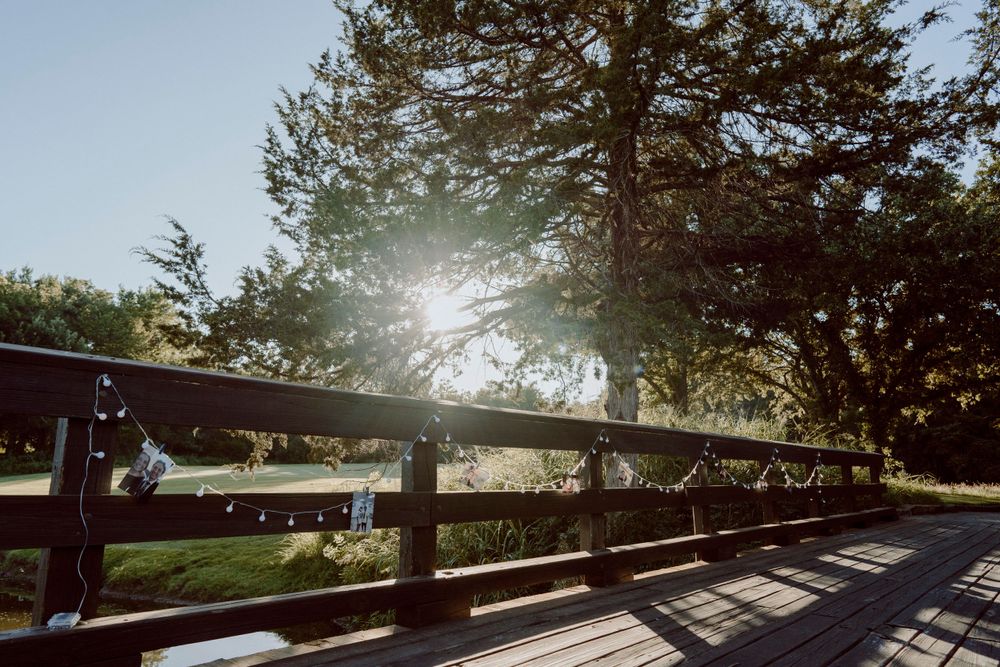 Sunlight streams through trees over a wooden fence rail on a bright day.