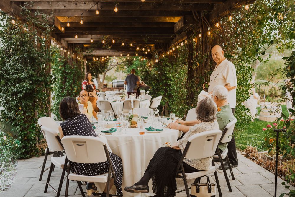 Intimate outdoor wedding reception under a vine-covered pergola with string lights.