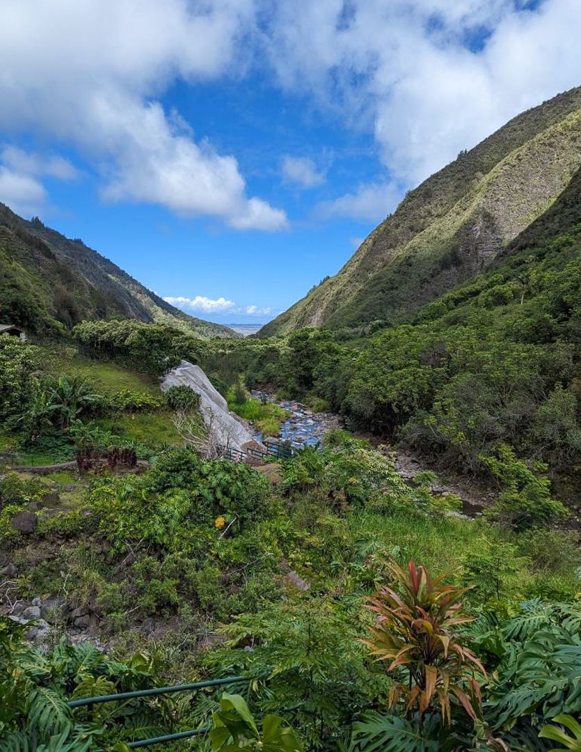 Lush green Iao Valley with a winding stream, tropical vegetation, and misty mountain peaks under a blue sky in Maui.