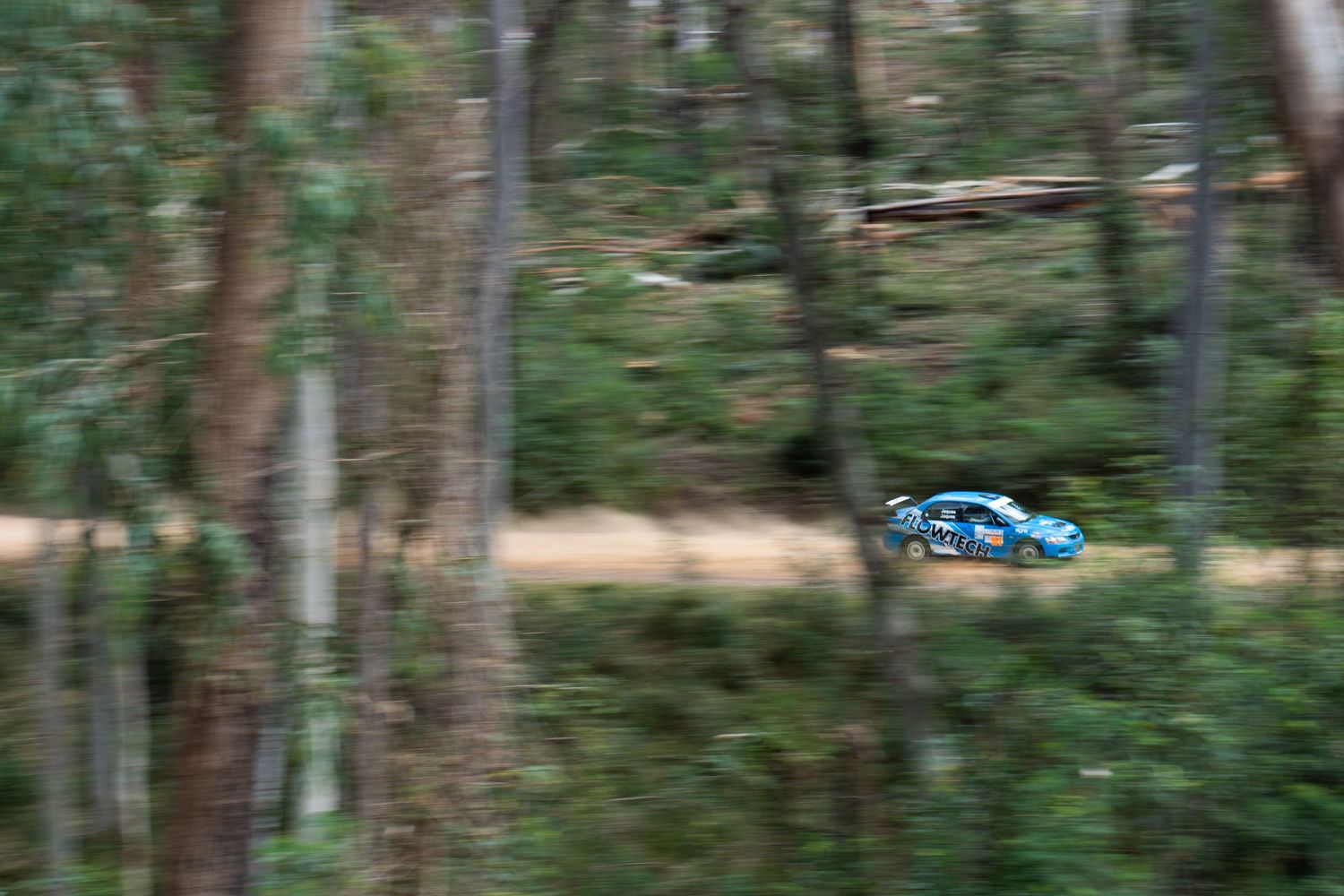 Blurred racing car speeding through dense forest during a rally event.