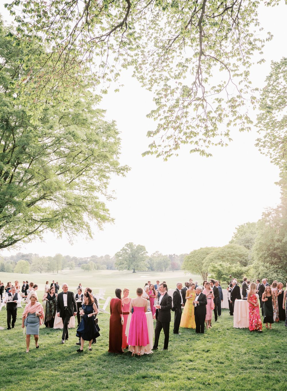Wedding guests gather on a lush green lawn under blooming trees at an outdoor reception.