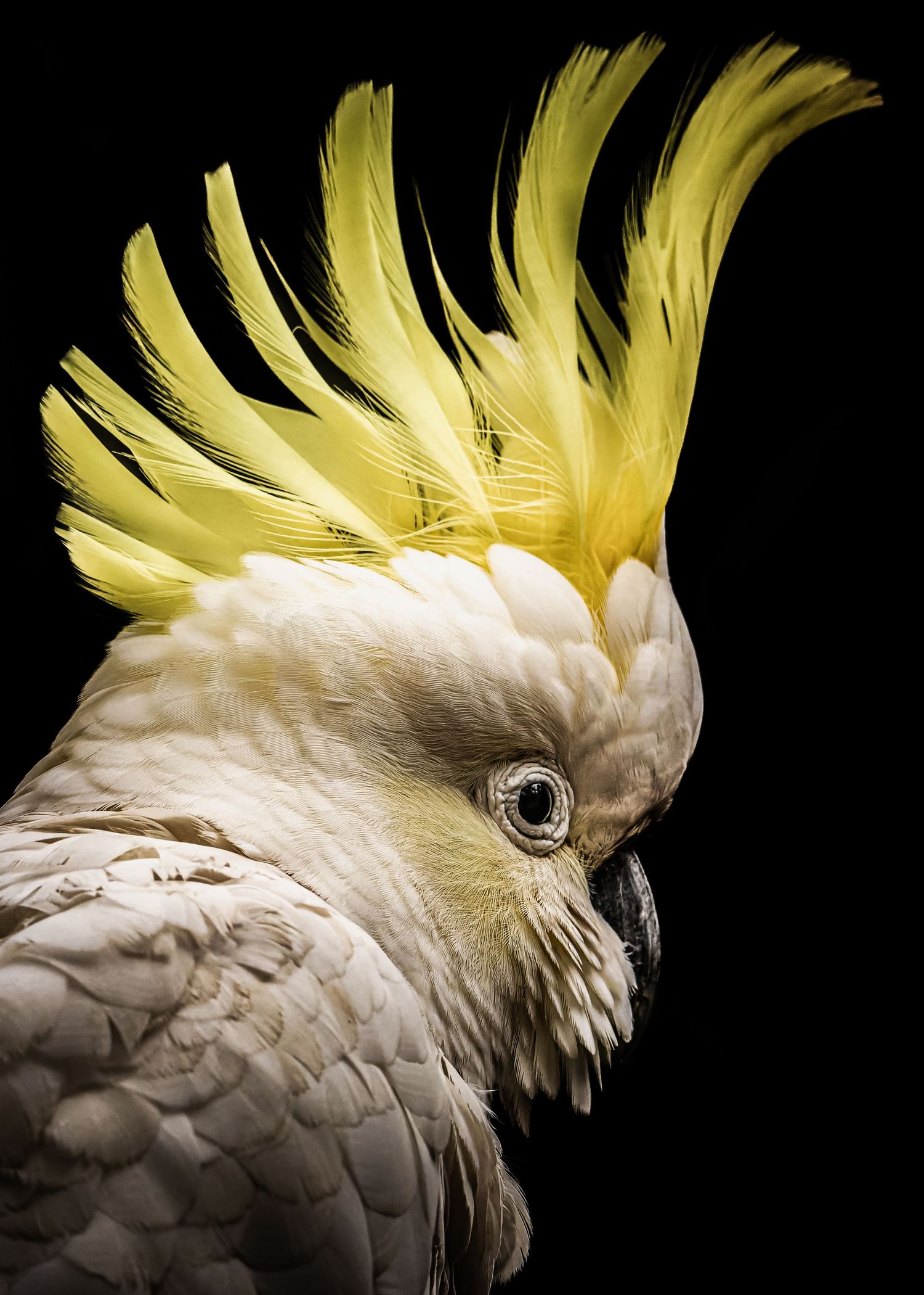 John Peters Photography