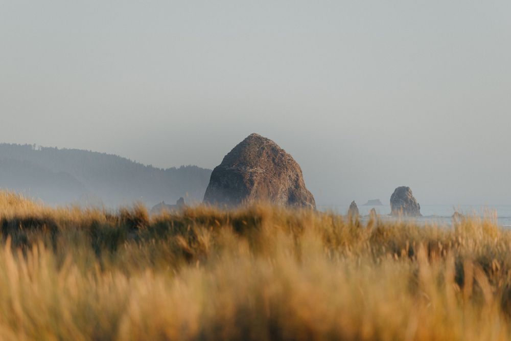 Haystack Rock silhouette rises above golden beach grass at Cannon Beach.