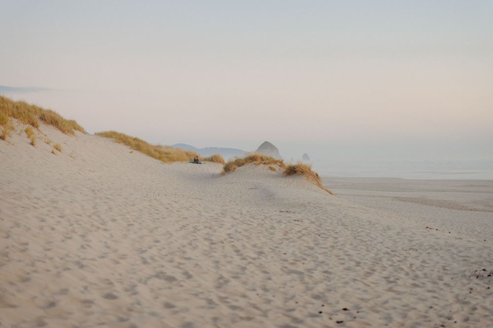 Sandy beach dunes stretching towards the ocean under a soft pastel sky.