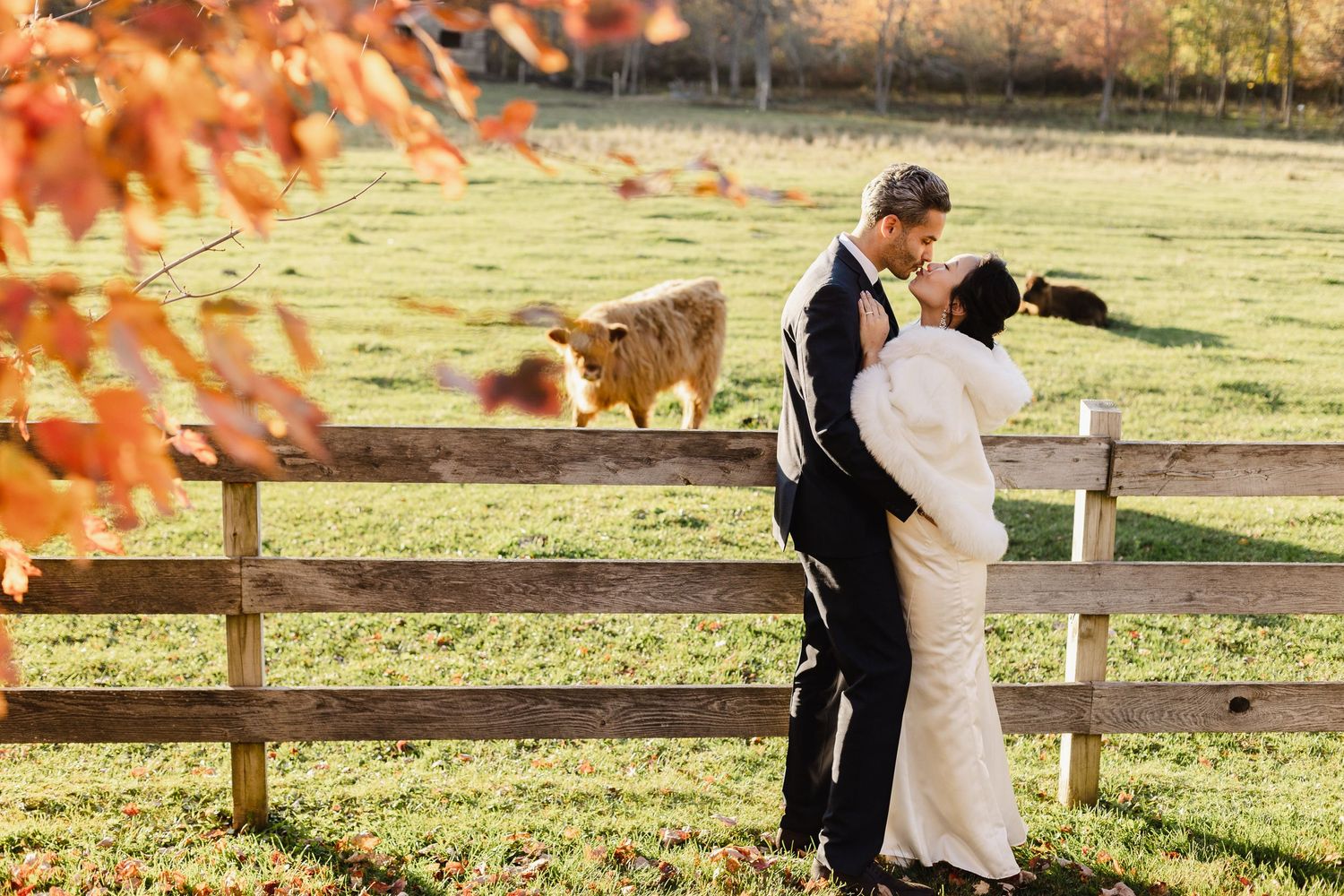 Bride and groom embracing in a fall field by a wooden fence, wedding photography by Konrad Odhiambo.