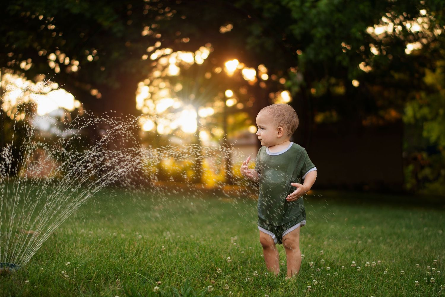 toddler stands in sprinkler in the glow of a summer sunset