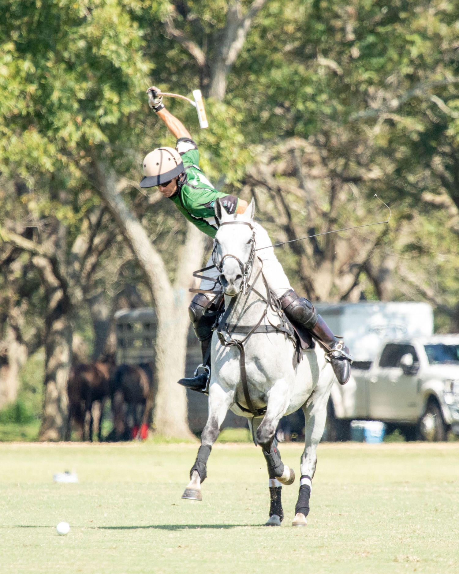 Polo Mason Wroe