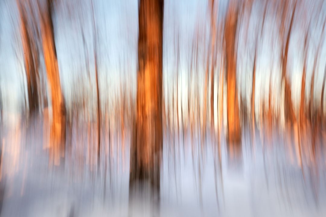 Abstract blurred winter forest scene with orange tree trunks creating vertical streaks in the snow.