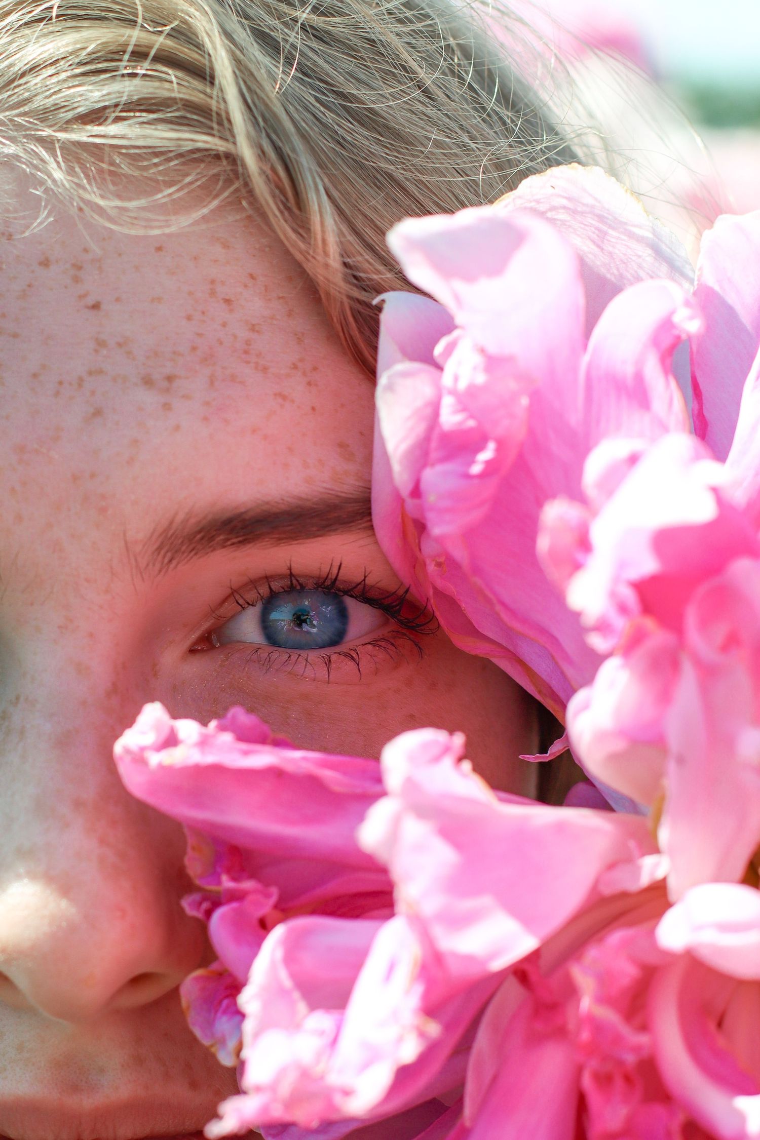 Close-up artistic photo of blue eye peeking through pink rose petals in natural light.