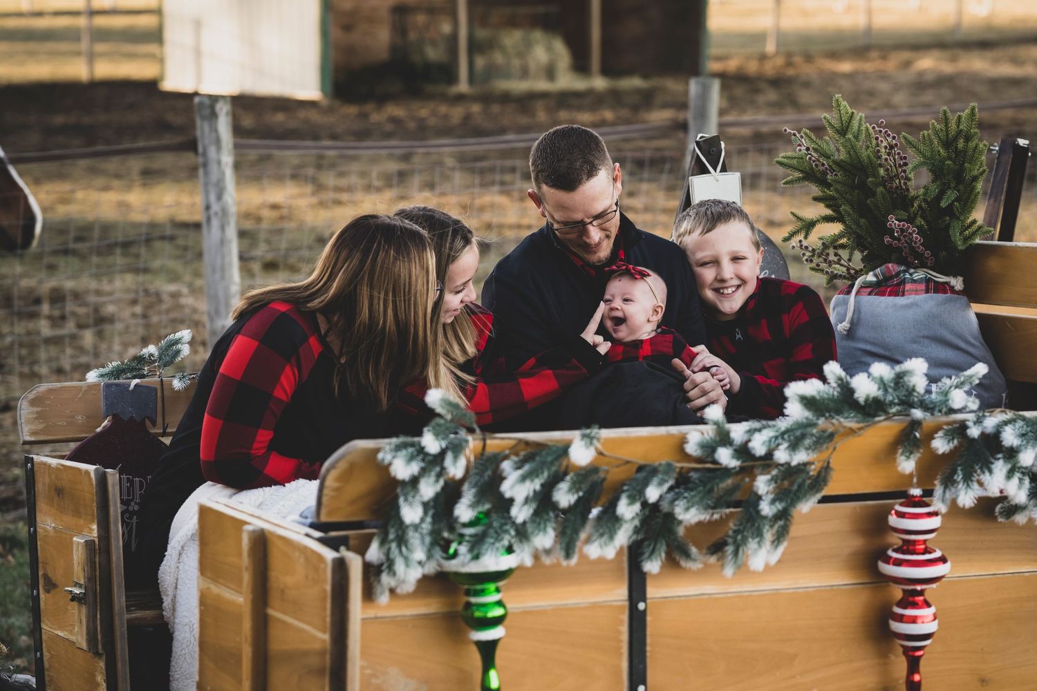Holiday Family Farm Photo Session Christmas Sleigh Memories Kaneville