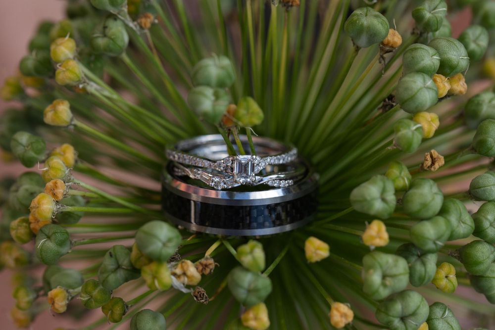 Wedding rings arranged on a green allium flower head with small yellow blooms.