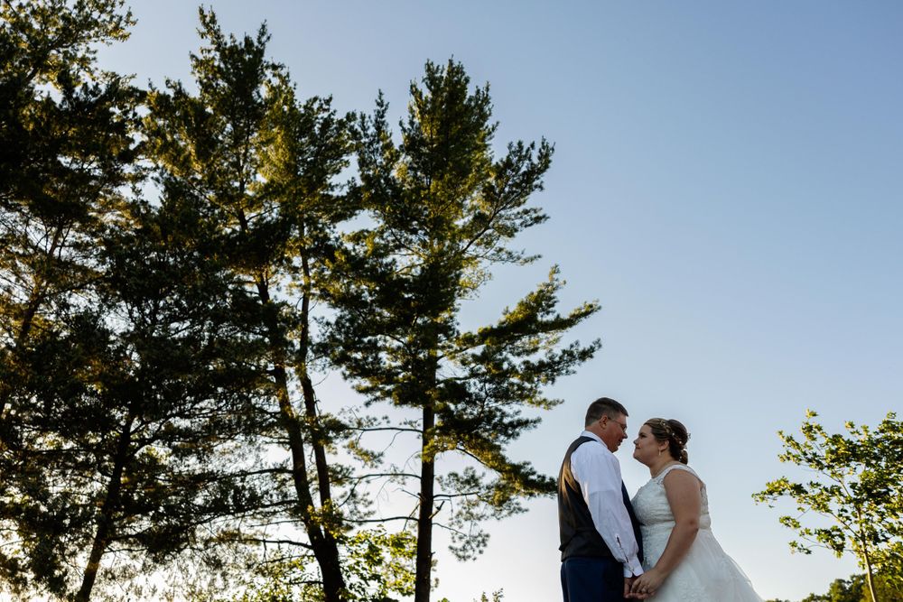 A romantic sunset silhouette against tall pine trees during a wedding celebration.