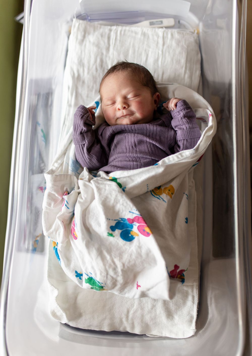 Newborn baby sleeping peacefully in a white hospital bassinet with colorful duck decorations.