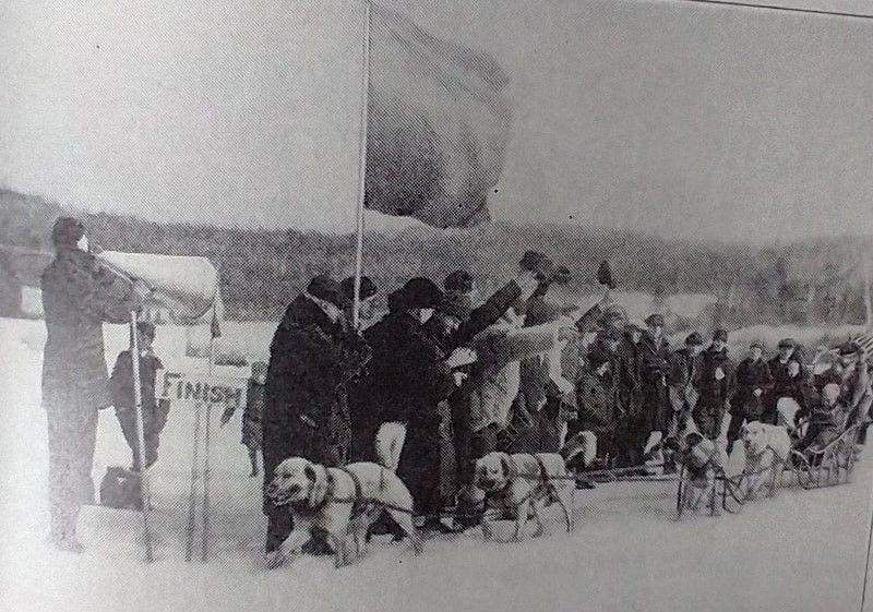 Team of Chinook Dogs:  sled dog races were a popular spectator event in the early 1900's.