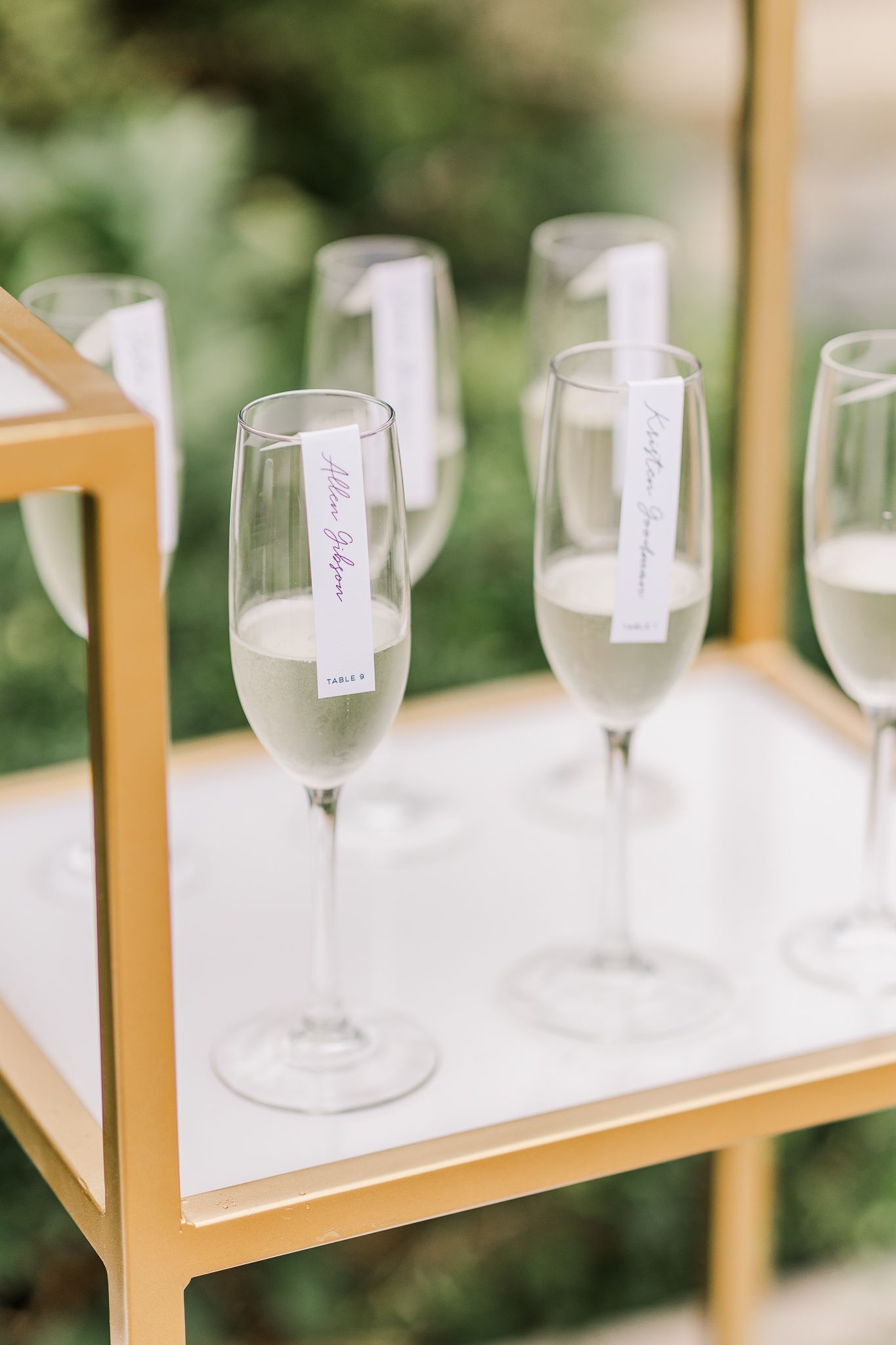 AIRLIE VIRGINIA WEDDING PICTURES