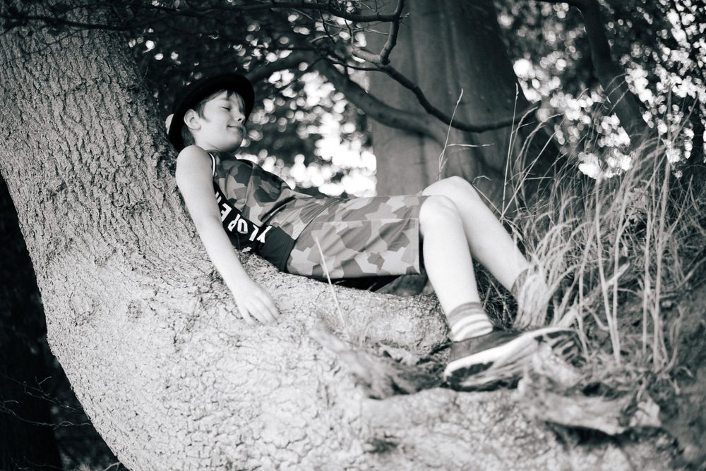 Black and white photo of a child relaxing in the fork of a large tree outdoors.