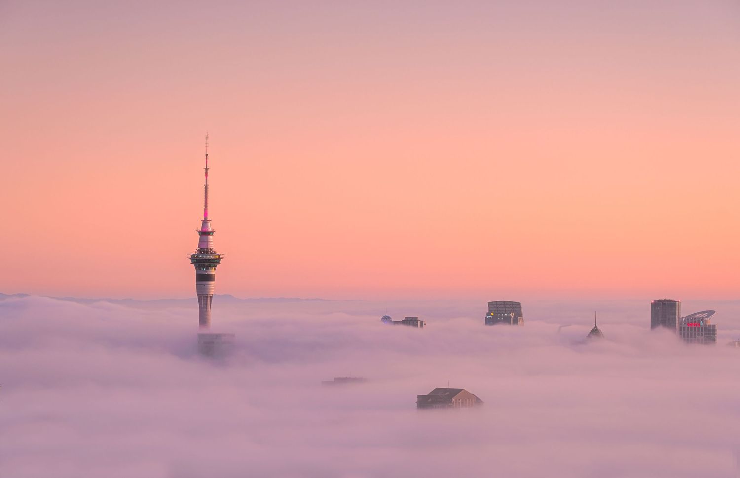 Fog in Auckland