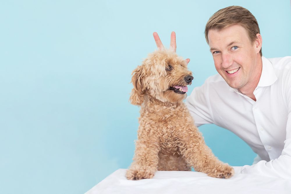 Goldendoodle dog and companion posing playfully against light blue backdrop.