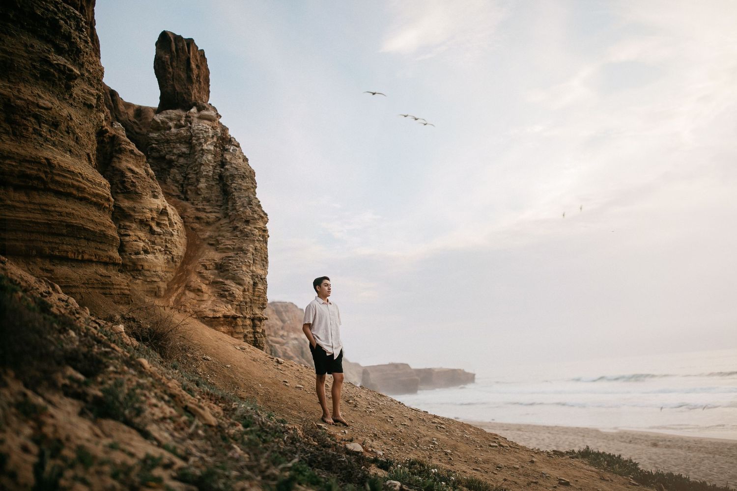 Person stands on coastal cliff edge overlooking ocean with birds flying overhead.