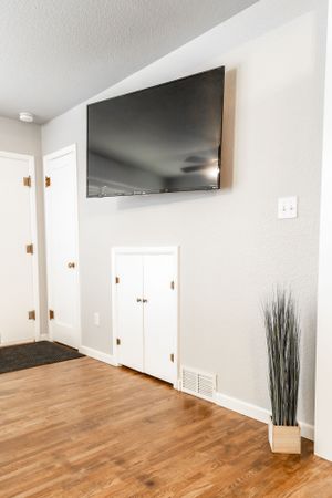 Wall-mounted flat screen TV above small doors with modern hardwood flooring and decorative plant.