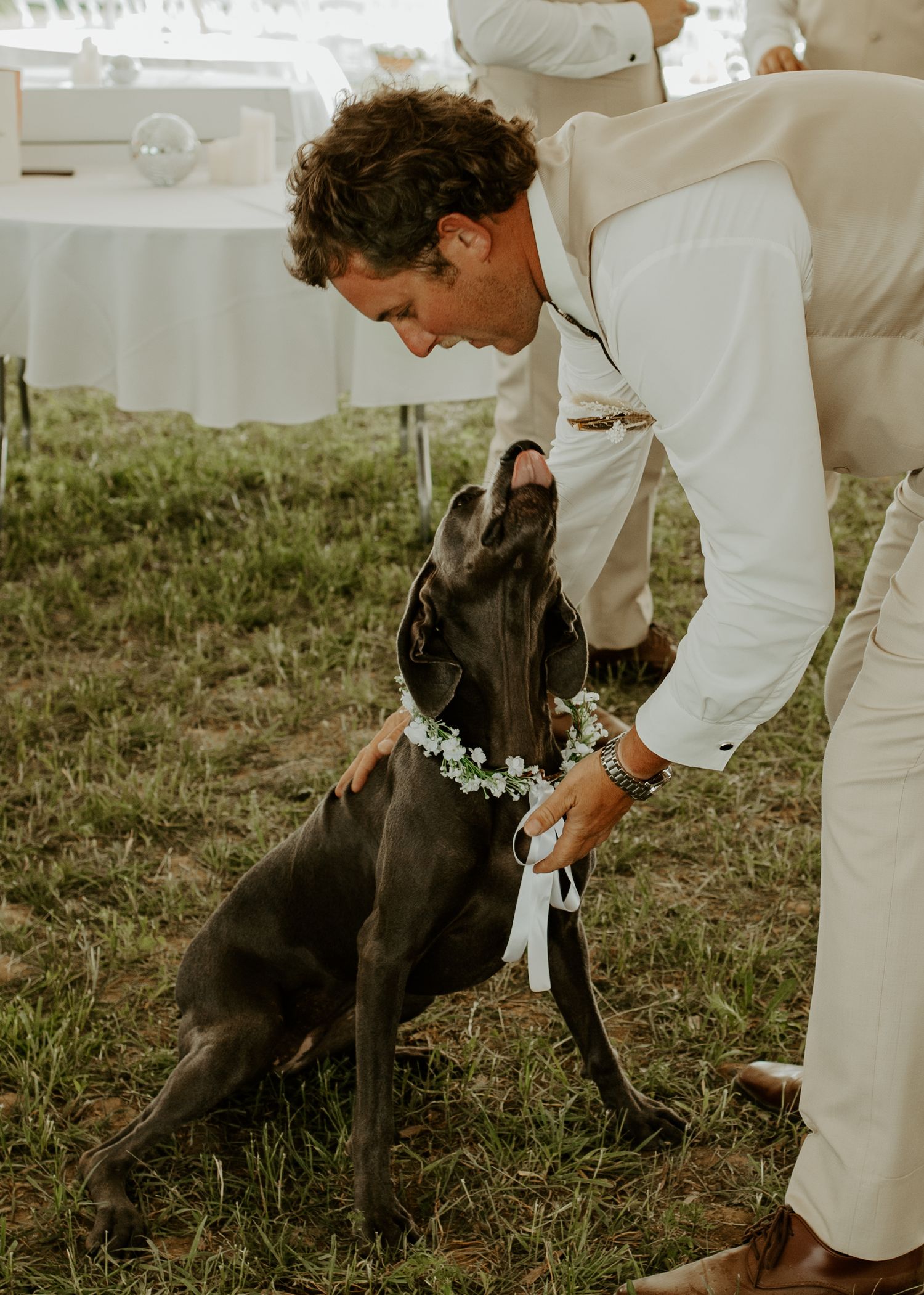 Black dog wearing a floral collar greets someone in white attire at an outdoor wedding.
