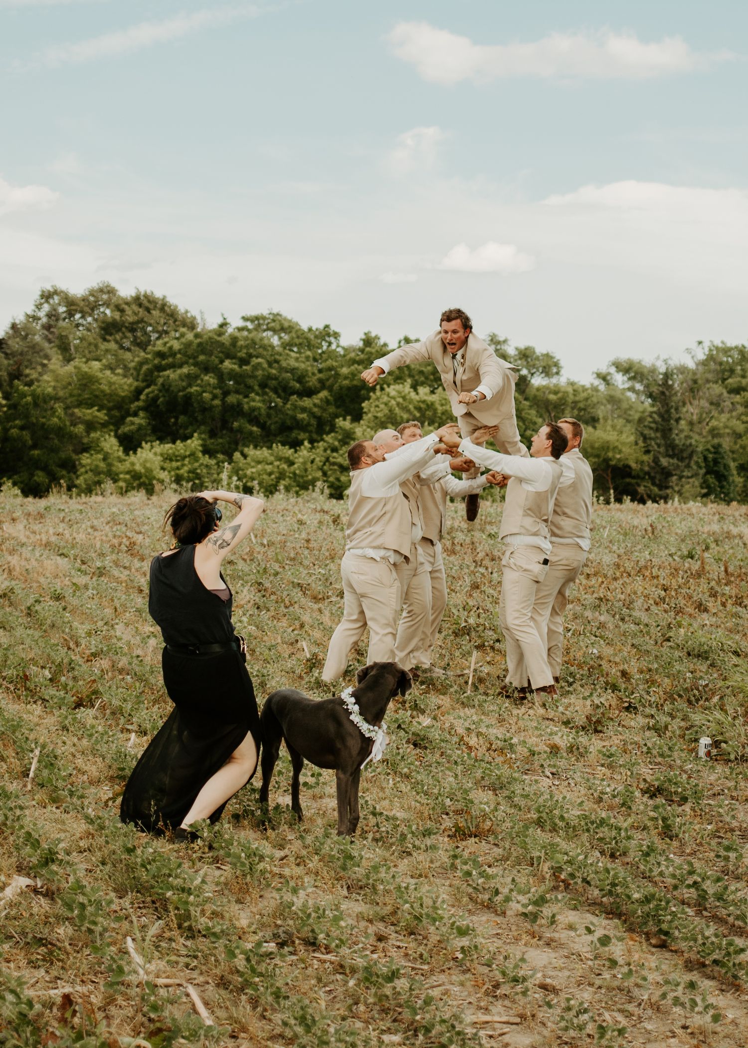 Wedding party members lift someone while a black dog watches with their handler in a field setting.