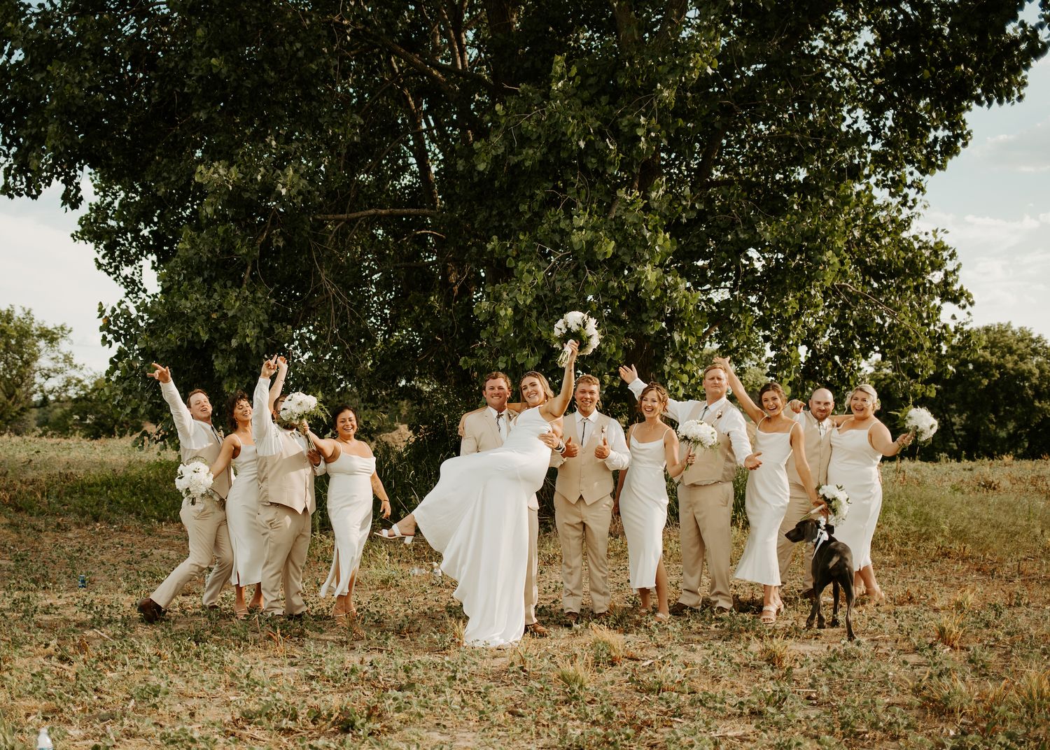 Wedding party celebrates joyfully in a field with their arms raised while a dog watches nearby.