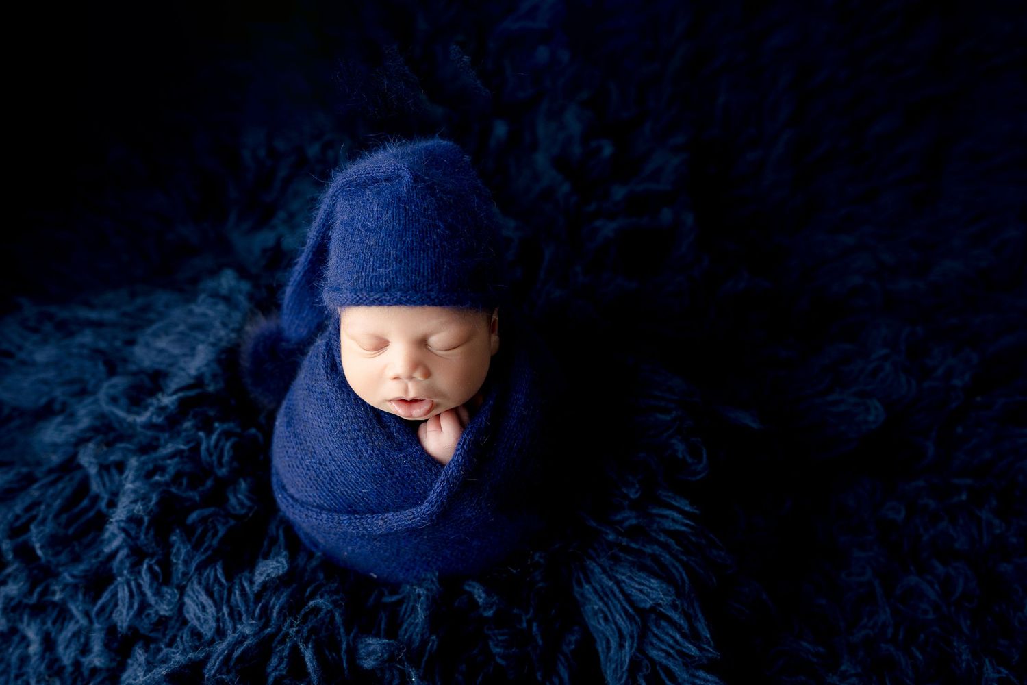 baby photos tallahassee