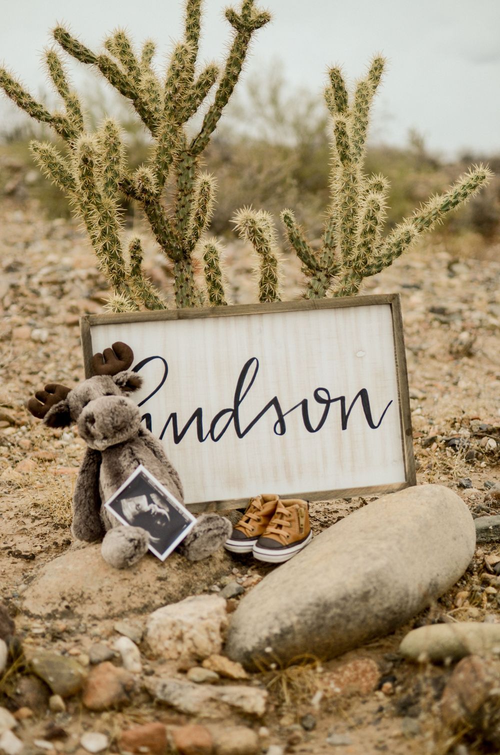 Baby announcement display with wooden sign reading 'grandson' with stuffed animal and shoes in desert setting.