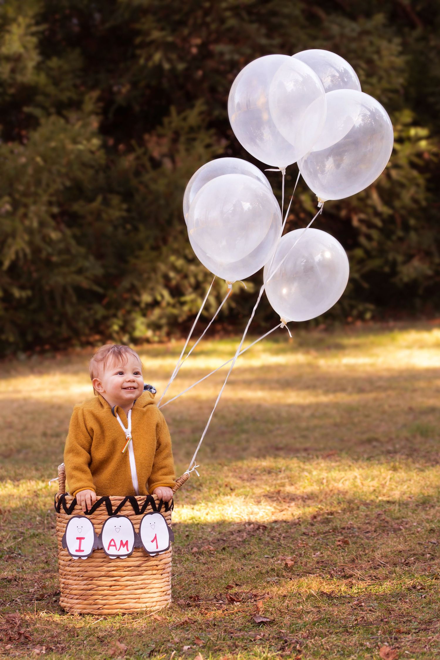 Baby's first birthday