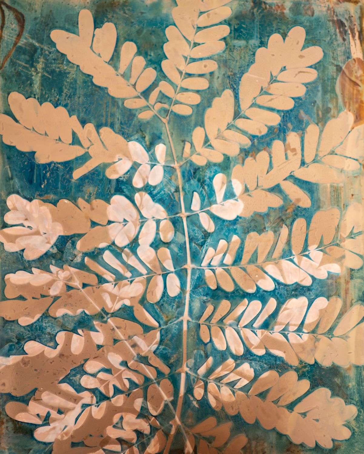 An example of the ephemeral nature of cyanolumens transforming over time during exposure to light Logan C Thomas artist