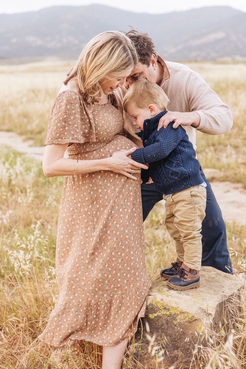 An intimate family moment shared while standing on a rock in a golden field.