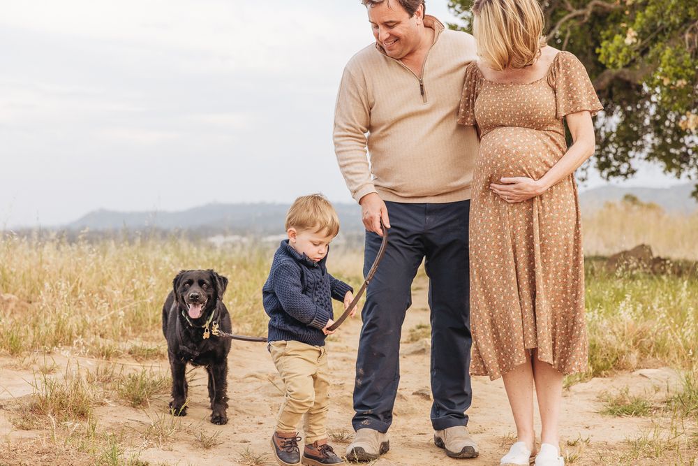 A family and their black dog walking together in a sunny field with mountains in the distance.