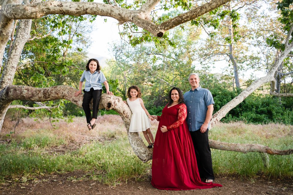 A family poses together outdoors on tree branches in a natural setting during a photo session.