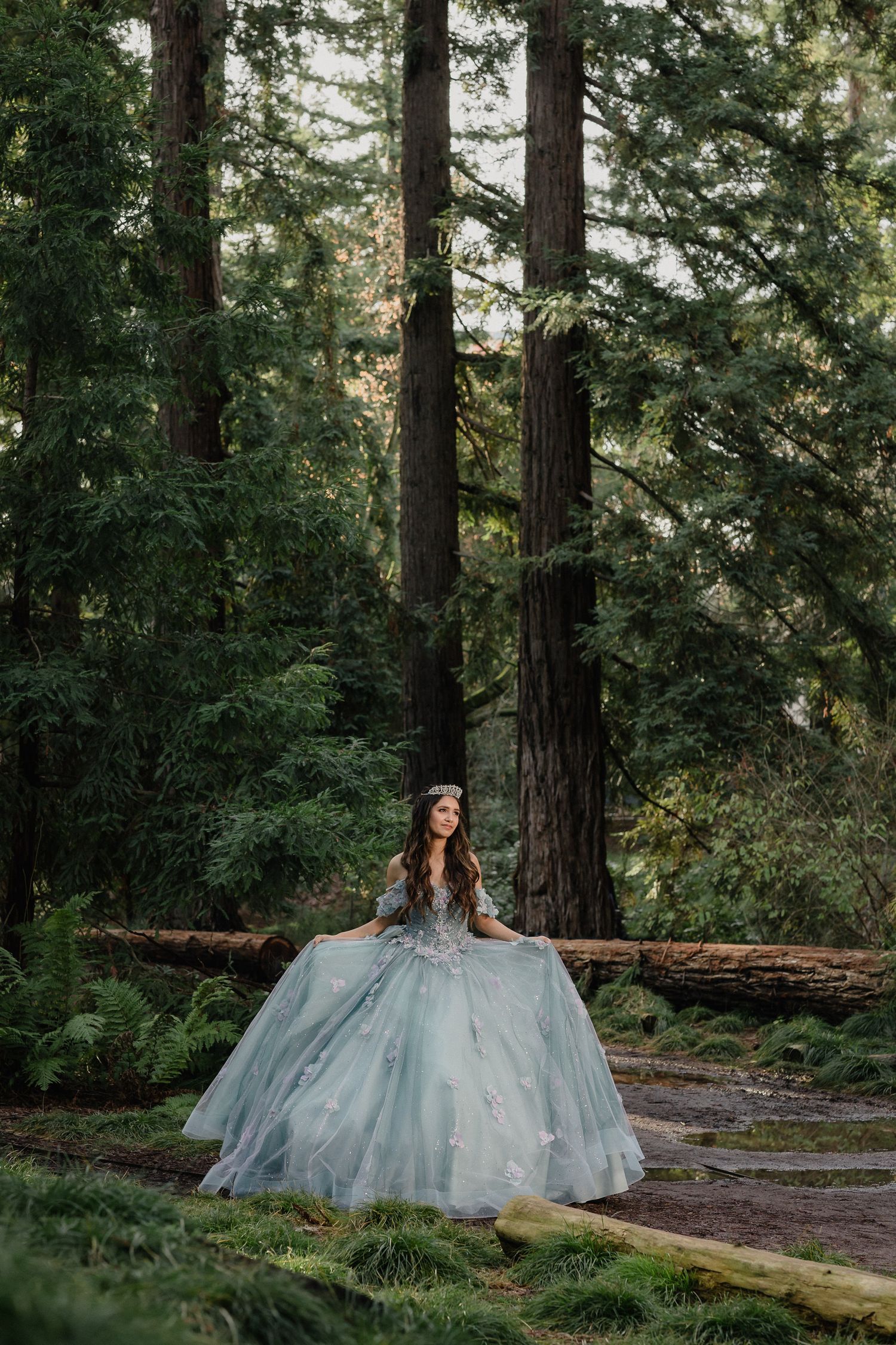 Dramatic full-length shot of flowing blue ball gown against backdrop of tall forest trees.