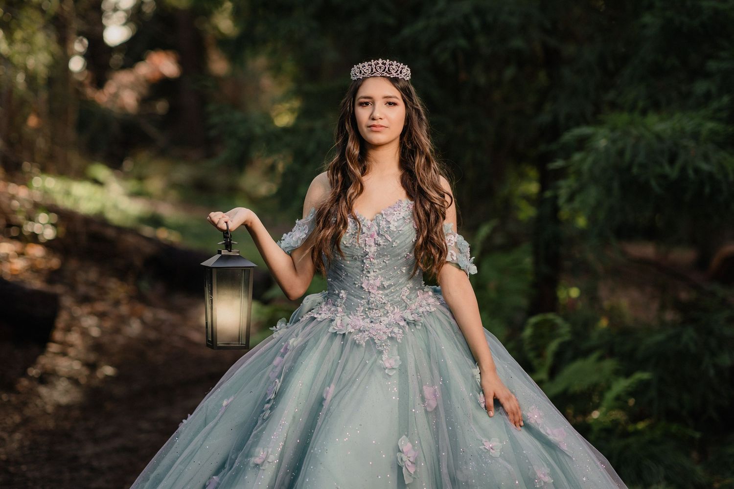 Enchanting portrait of a princess-style dress with a lantern in hand against a wooded backdrop.