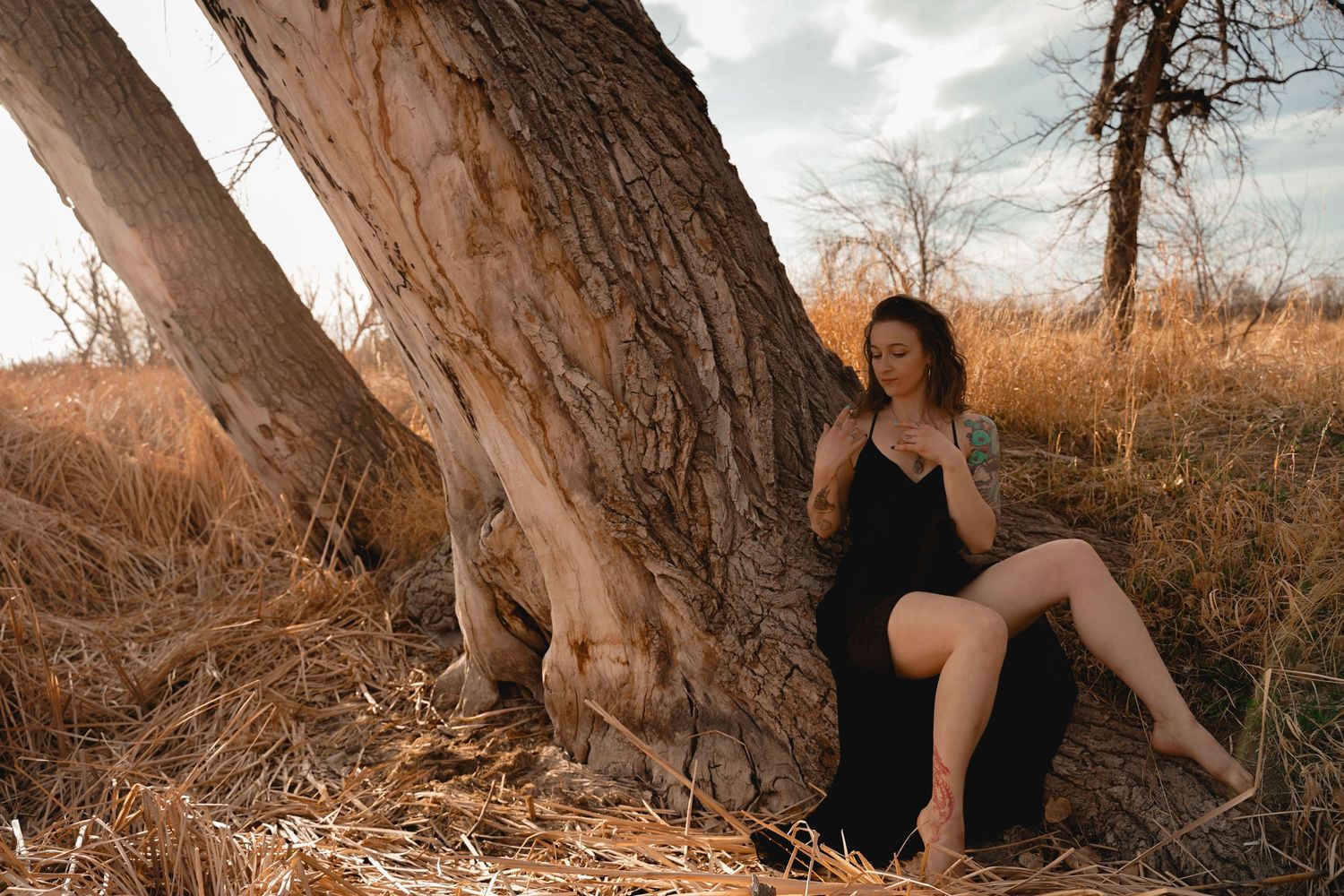 Woman in black dress poses elegantly near large tree trunk in natural setting.