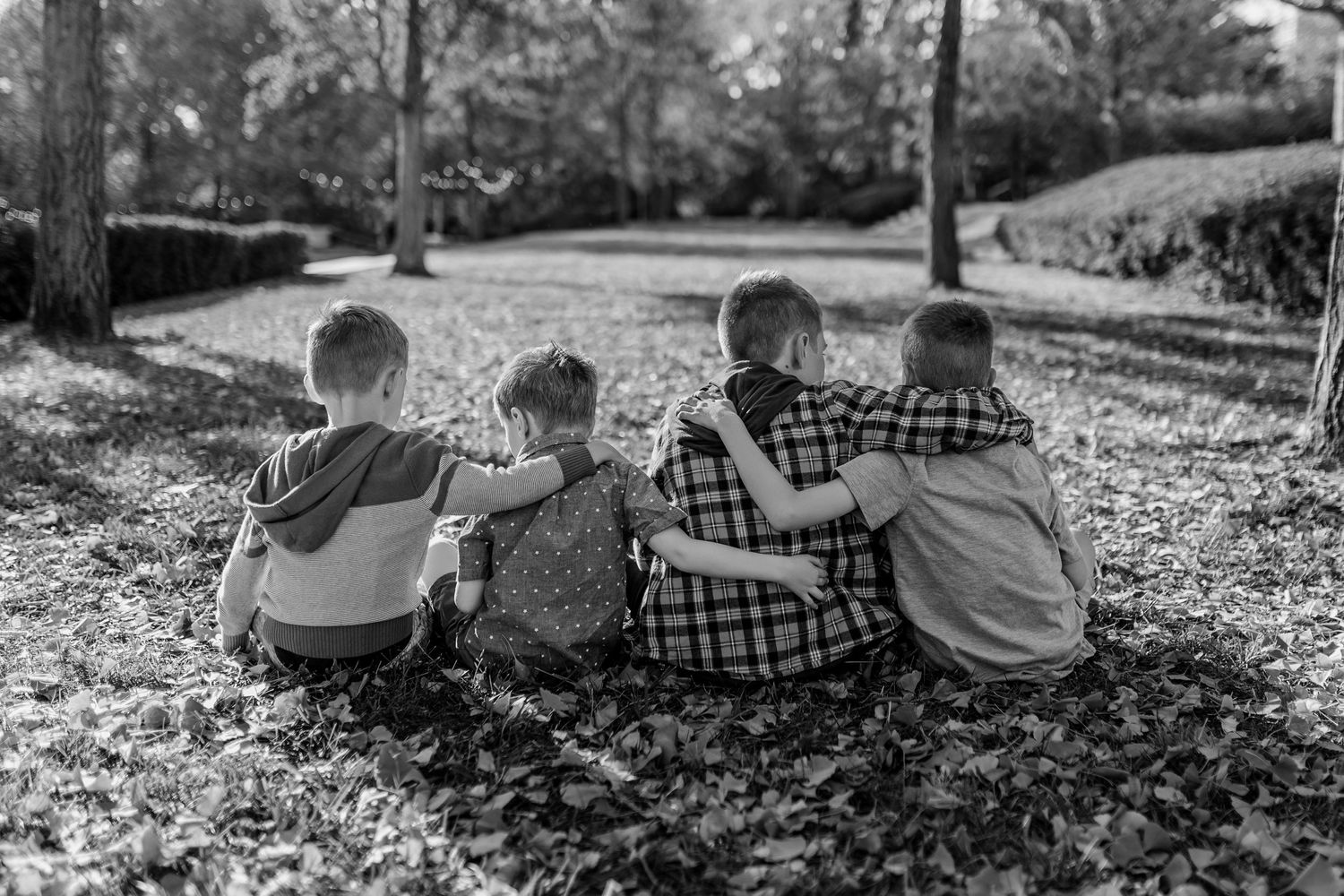 Young boys sit with their arms around each other among autumn leaves during a family photoshoot on Nelson Atkins lawn.