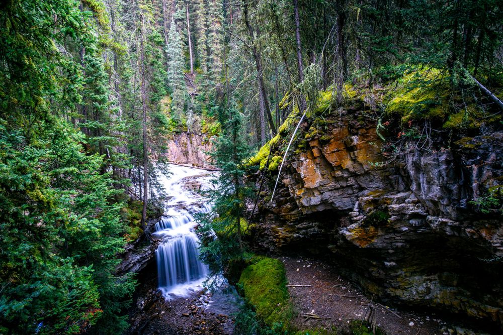 Cascading waterfall flowing through mossy rocks and evergreen forest in a scenic mountain gorge.