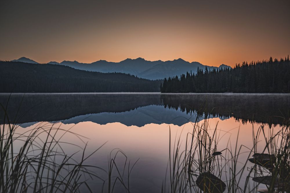 Peaceful mountain lake at dawn reflects pink sky and distant mountain silhouettes through lakeside reeds.