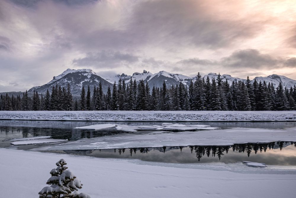 Snow-covered mountains and evergreen forest reflected in partially frozen lake during winter sunset.