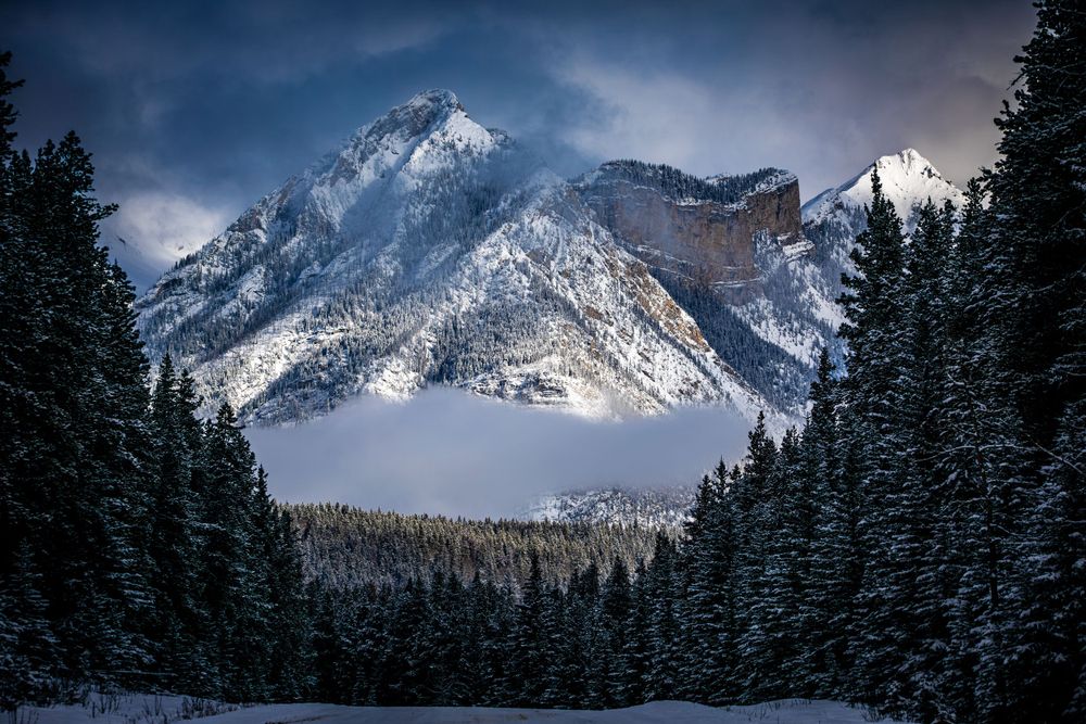 Snow-covered mountain peaks rising above evergreen forest in dramatic winter lighting.