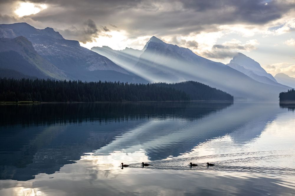 Dramatic sunbeams pierce through clouds over mountain lake with ducks creating ripples on glassy surface.
