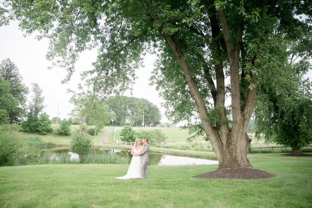 Wedding portrait under a majestic tree with pond and rolling hills in background.