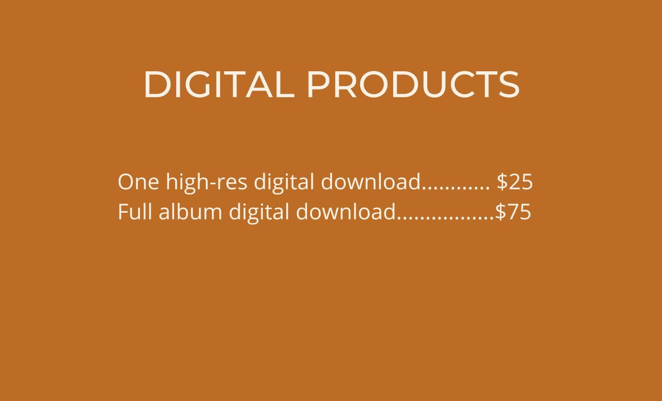 Digital photography product pricing for downloads displayed on rust-colored background.