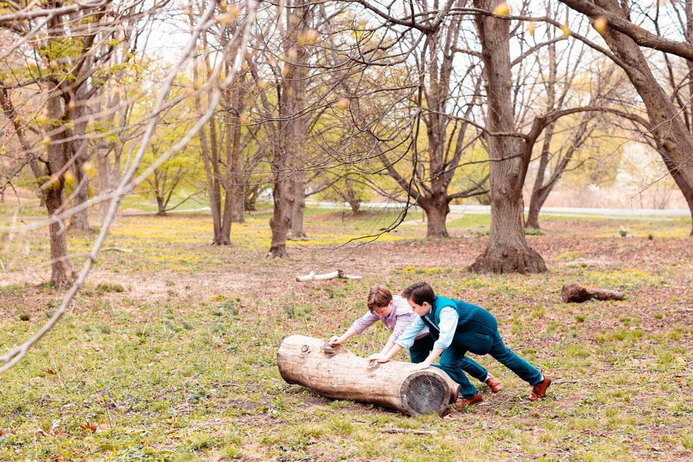 Arnold Arboretum Photography