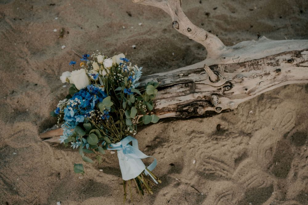 Aerial view of beach landscape with scattered flowers on rocky terrain.