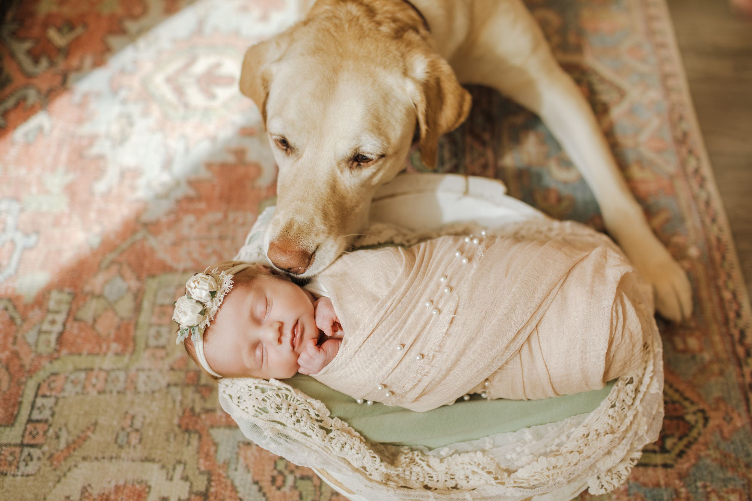 Newborn baby with dog